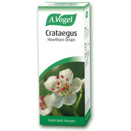Crataegus tincture (Hawthorn)