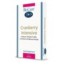 Cranberry Intensive
