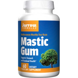 Mastic Gum 500