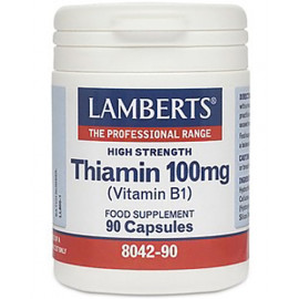 Thiamin 100mg (Vitamin B1)